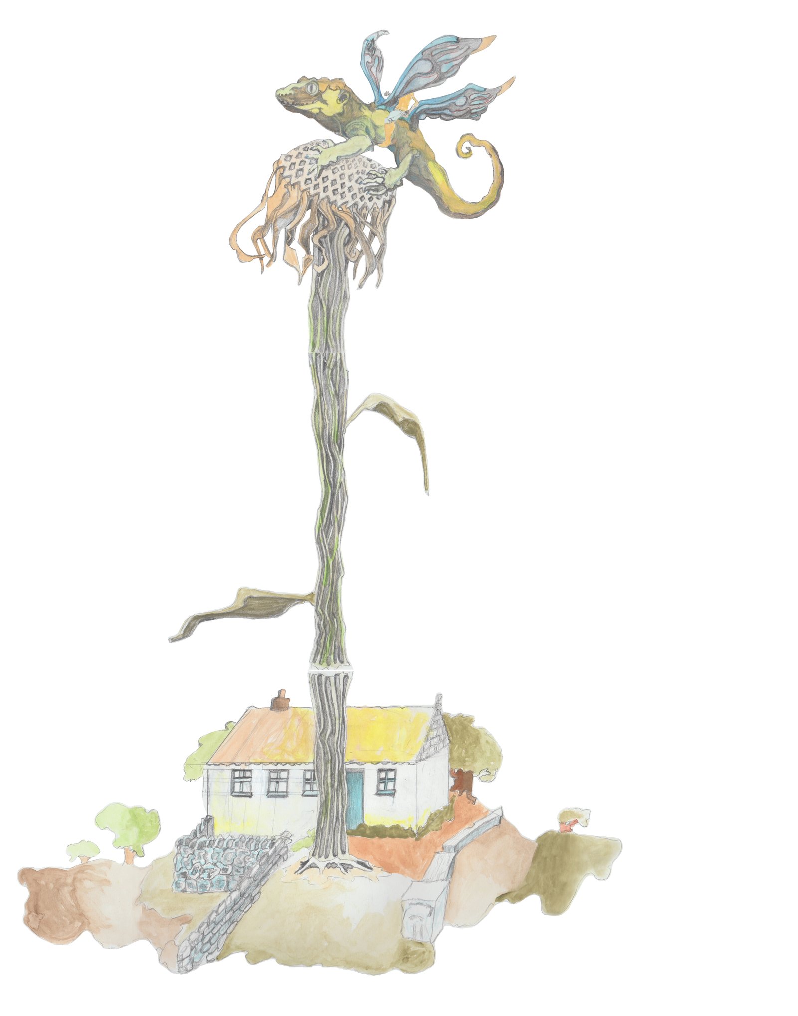 Daisy Drak on Daisy above ancient irish Cottage.