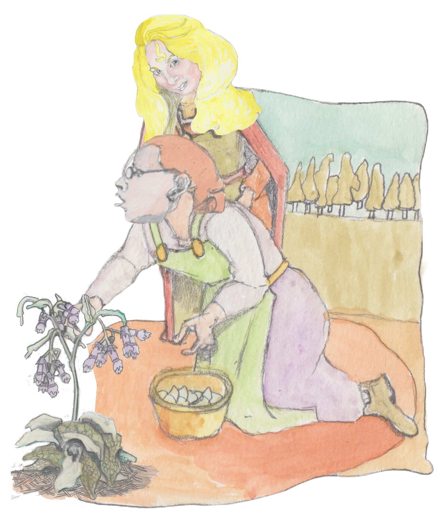 Helgi looking down a Peggy picking comfrey on her knees.