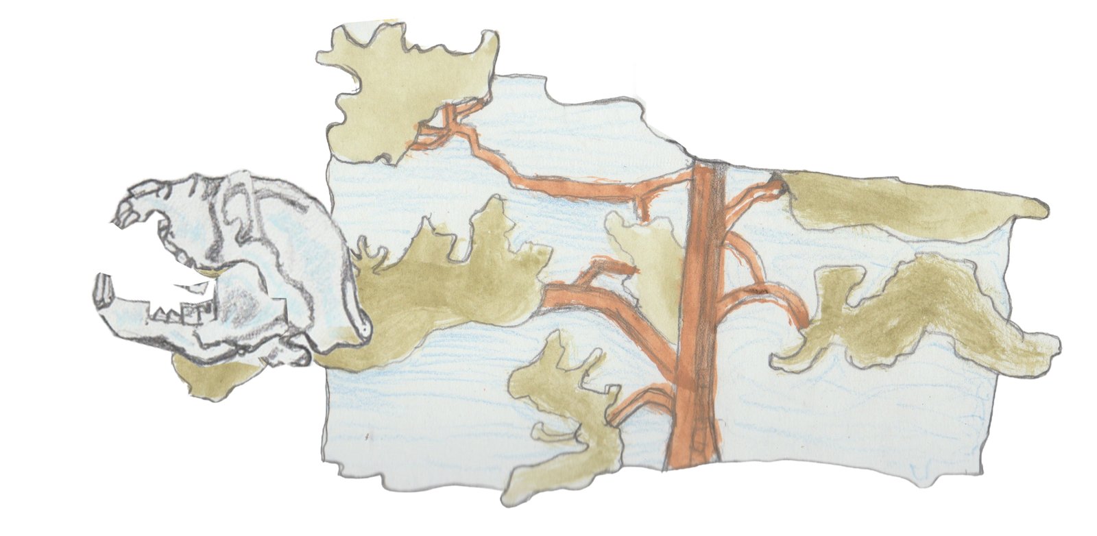 Talking bear skull in a tree.