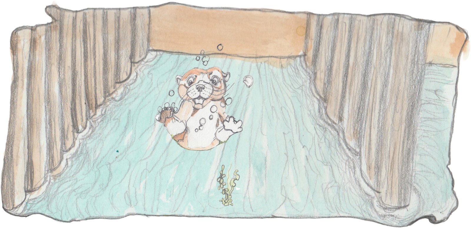 Otr swimming under bridge on his back looking up and excited.