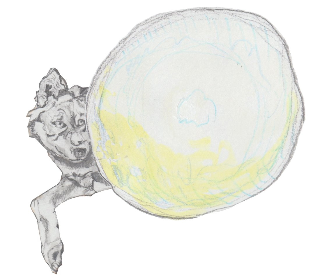 Wolf playing fetch wih moon.