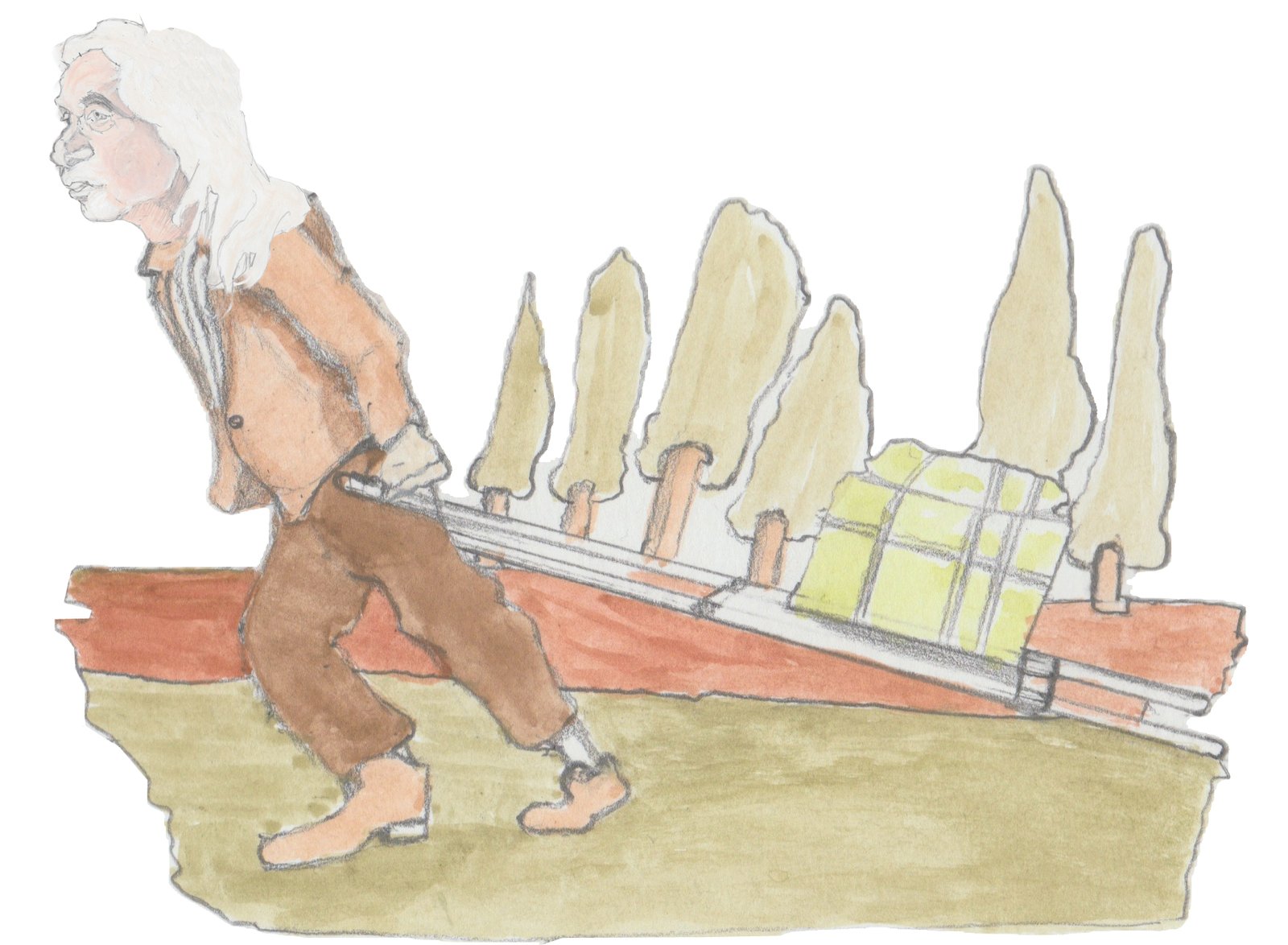 Pops walking with a travois through the woods.