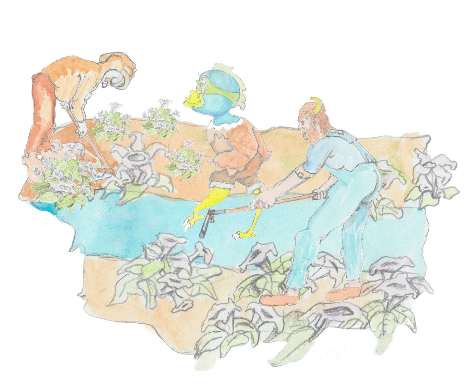 Gramps and Karl harvesting datura with Gast walking in the middle of the garden.