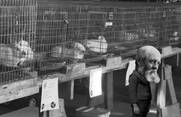 Þrúðr:Salem House Press:My Books:The Sinclair Narratives:Murder on the Common:Murder on the Common Illustrations:Illustratons:Bunnies.pdf