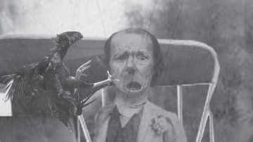 Louie attacked by a chicken