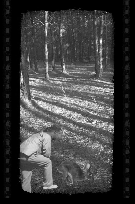 Þrúðr:Salem House Press:My Books:The Sinclair Narratives:Murder on the Common:Murder on the Common Illustrations:Illustratons:Rabbit-Chasing.pdf