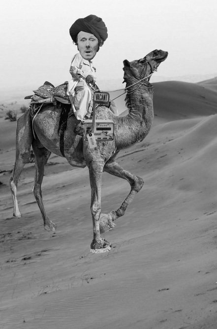 Camel-louie.pdf