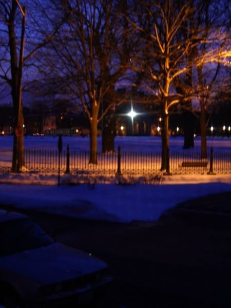 Winter night on Salem Common
