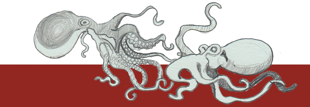 Octopus design