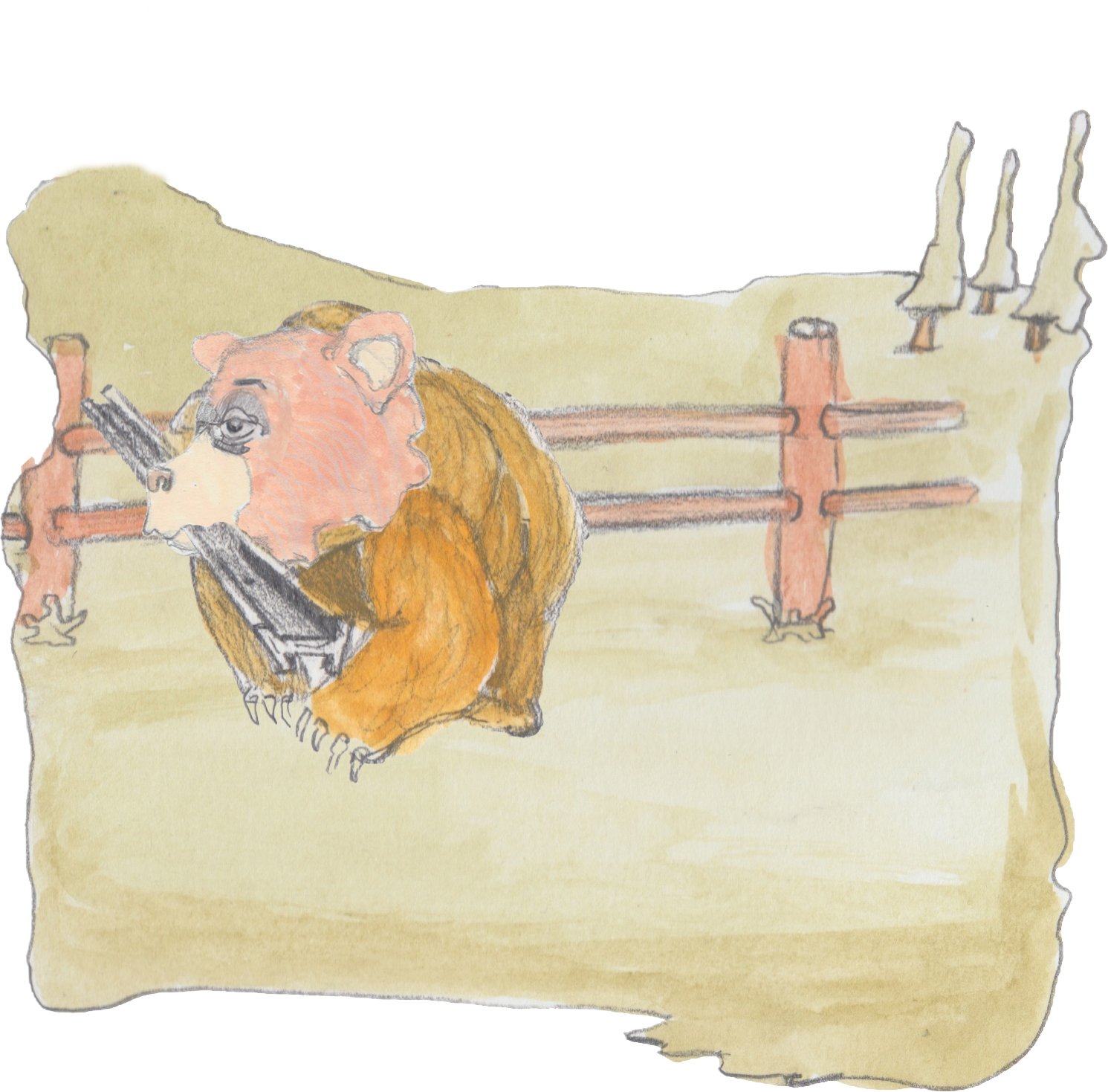 Boco coming back with a railroad tie in his mouth with the fence in the backgroud.